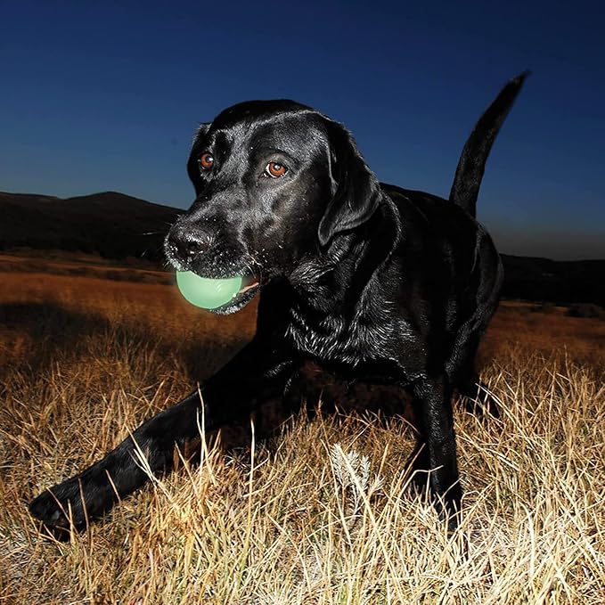 Chuckit! Max Glow Ball Dog Toy, Medium (2.5 Inch Diameter) for Dogs 20-60 lbs, Pack of 4