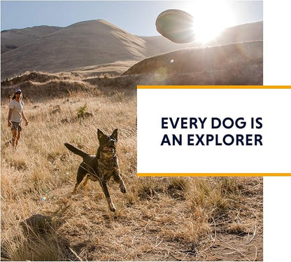 Ruffwear, Flat Out Dog Collar (Formerly Hoopie), Webbing Collar for Walking and Everyday Use, Alpenglow Burst, 20"-26"