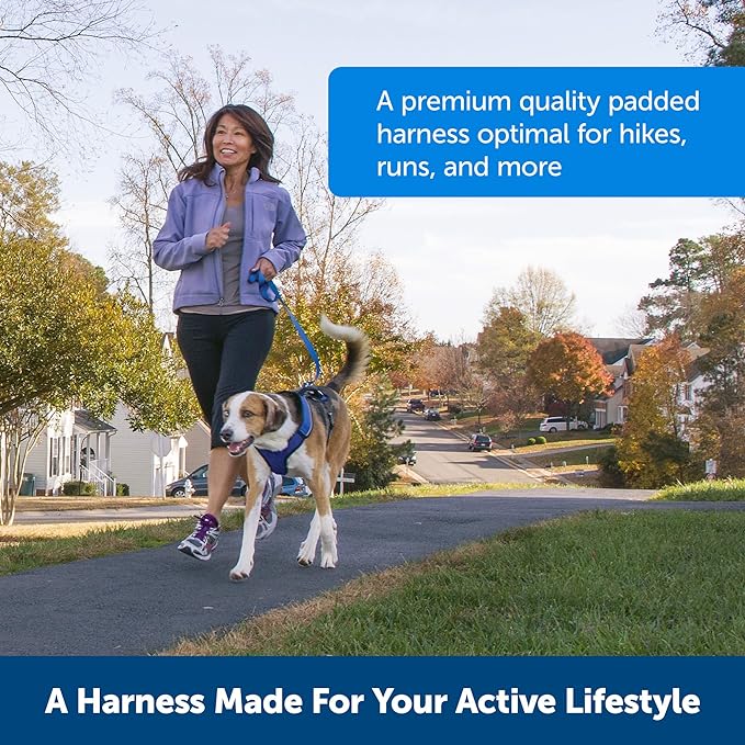 PetSafe EasySport Dog Harness, Adjustable Padded Dog Harness with Control Handle and Reflective Piping, From the Makers of the Easy Walk Harness,Blue,Extra Small