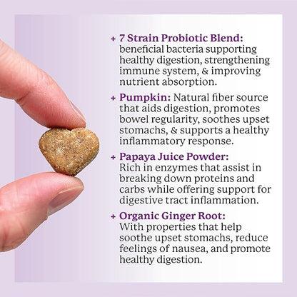 Dr. Harvey's Digestive Probiotic Soft Chews for Dogs, 7 Probiotics for Gut Health, Diarrhea and Bowel Support, Peanut Butter Flavor (90 Chews)