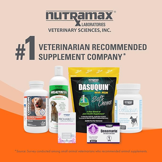 Nutramax Laboratories Nutramax Imuquin Immune Health Supplement Powder for Dogs, with Beta Glucans, Marine Lipids, Vitamins and Minerals, 30 Packets, Updated Version