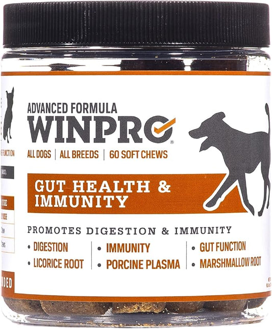 WINPRO | Dog Gut Health Supplement, Plasma-Powered Chews for Digestive Health, Fast Acting Immune Support in Dogs of All Breeds and Sizes, 60 Count, Made in USA