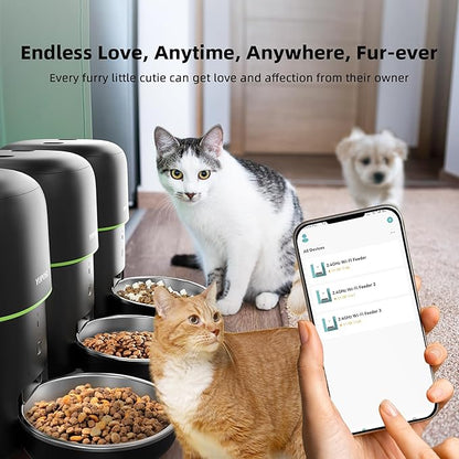 Automatic Cat Feeder WiFi - Easy to Clean 2L/4L WiFi Automatic Cat Feeder for Remote Feeding, Cat Food Dispenser with Lock Feature and Suitable Portion Size, Only 2.4GHz