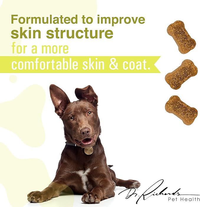 Dr. Richard's Skin & Coat Support for Dogs - Soft Chew Supplement Strengthens Skin Structure & Decreases Itching for Beautiful Healthy Coat, Improved Health & Comfort for All Adult Breeds
