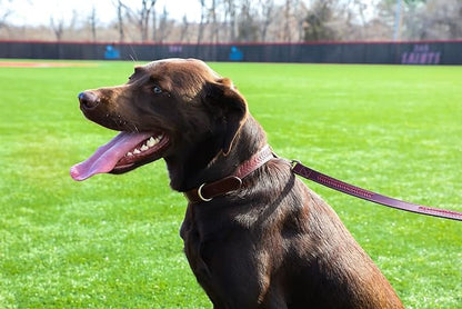 Rawlings | Baseball Stitch Leather Dog Collar | Multiple Sizes | Multiple Colors