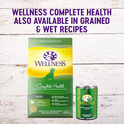 Wellness Complete Health Grain-Free Dry Dog Food, Natural Ingredients, Made in USA with Real Meat, For All Lifestages (Lamb, 24-Pound Bag)
