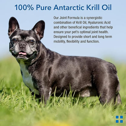 Krillex Joint Formula & Omega 3 Krill Oil for Dogs & Cats - Glucosamine for Dogs - Chondroitin, MSM, & Hyaluronic Acid for Joint Care - Cheese Flavor Chews - 60 ct