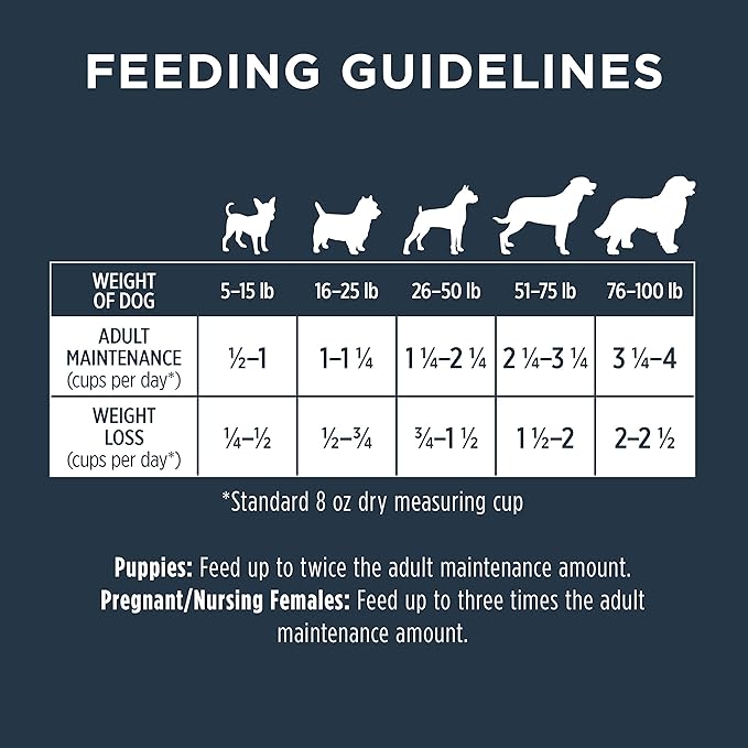Instinct Raw Boost Grain Free Recipe with Real Chicken Natural Dry Dog Food, 10 lb. Bag