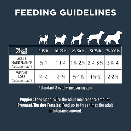 Instinct Raw Boost Grain Free Recipe with Real Chicken Natural Dry Dog Food, 10 lb. Bag