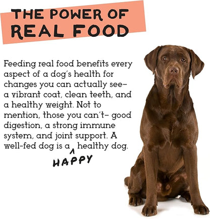 Simple Food Project - Chicken & Turkey - Freeze Dried Raw Food for Dogs - 48oz