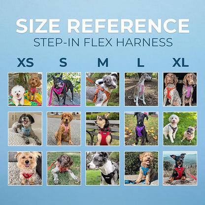 Best Pet Supplies Voyager Adjustable Dog Harness with Reflective Stripes for Walking, Jogging, Heavy-Duty Full Body No Pull Vest with Leash D-Ring, Breathable All-Weather - Harness (Purple), M