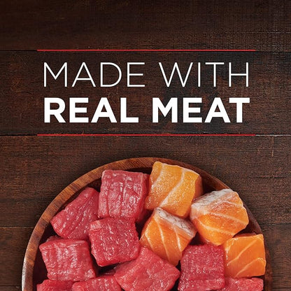 Purina ONE High Protein Wet Dog Food True Instinct Tender Cuts in Dog Food Gravy With Real Beef and Wild-Caught Salmon - (Pack of 12) 13 oz. Cans