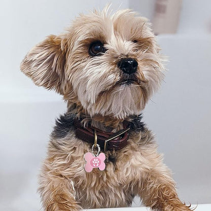 QR Code Dog Tag,Dog Tags Personalized for Pets, Custom Dog Name ID Tags Personalized Dog and Cat Tags -Free Online&Scan QR Receive Instant Location Alert Email