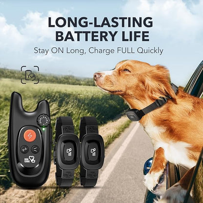 DOG CARE Dog Training Collar with Remote - Rechargeable Dog Shock Collar for All Dogs with Beep, Vibration, and Adjustable Shock Level, Dog Training Collars for 2 Dogs, Security Lock, Water-Resistant