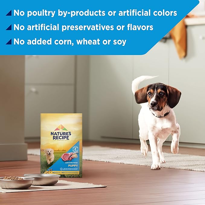 Nature’s Recipe Puppy Lamb & Rice Recipe Dry Dog Food, 12 lb. Bag