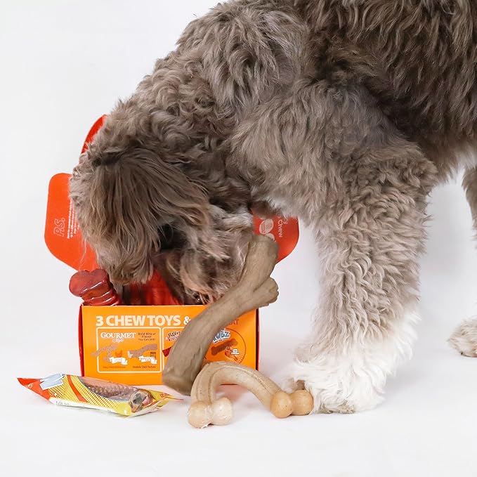Nylabone Dog Toy Gift Box, includes 3 Strong Chew Toys and 1 Dog Treat, Chew Toys for Large Dogs, Large/Giant (4 Count)