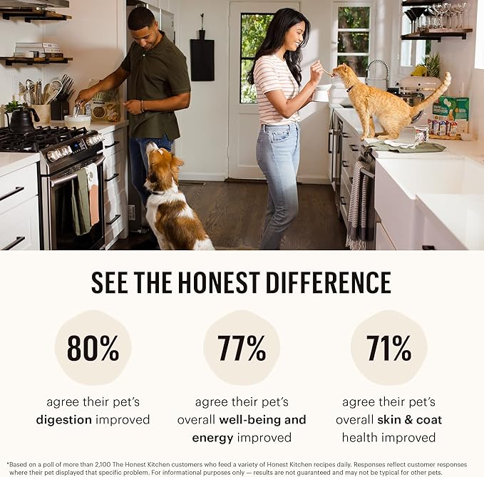 The Honest Kitchen One Pot Stews: Roasted Beef Stew with Kale, Sweet Potatoes & Carrots Wet Dog Food, 10.5 oz x6