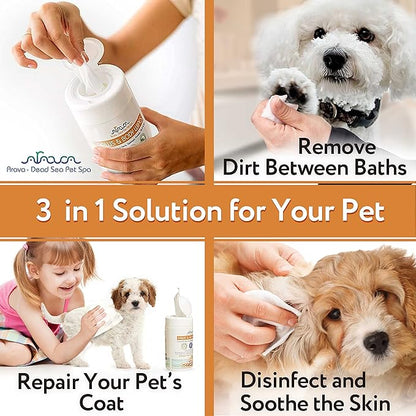 Arava Natural Pet Grooming Wipes with Silk Protein & Minerals for Dogs & Cats – Cleaning Deodorizing Wet Wipes for Body, Face, Fur and Paws - Safe for Puppies & Kittens - 7.5 x 5 inch - 50 Count