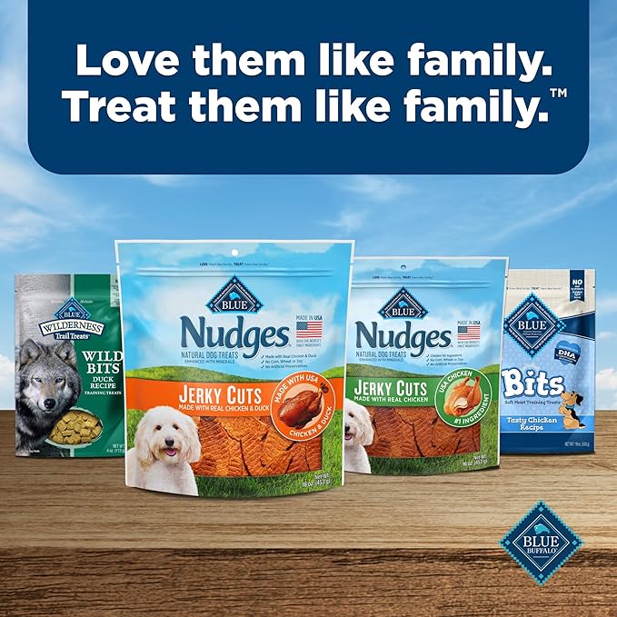 Blue Buffalo Nudges Jerky Cuts Dog Treats, Made in the USA with Natural Ingredients, Chicken & Duck, 16-oz. Bag
