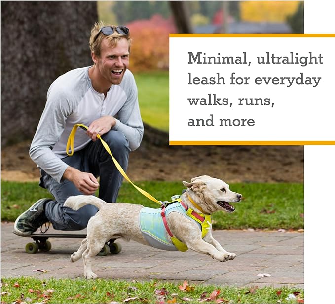 Ruffwear, Hi & Light Dog Leash, Minimal Ultralight Lead for Everyday Walks and Runs, 4.5 ft, Alpenglow Pink