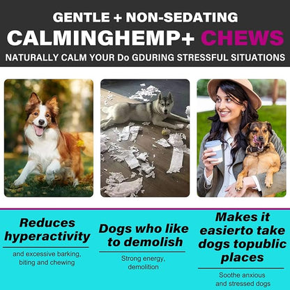 Hemp Calming Chews for Dogs, Dog Training & Behavior Aids, Dog Calming Treats, Natural Soothing Snacks Hemp + Valerian Root, Dog Anxiety Relief & Aggressive Behavior, 110PCS Calming Dog Treats, Beef