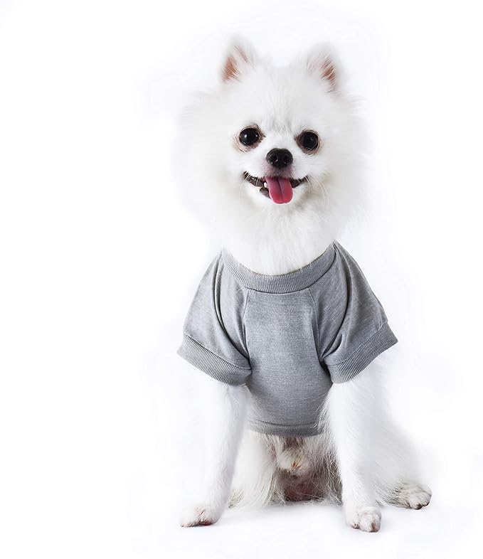 Star Wars for Pets Chewbacca "Original Co-Pilot" Dog Tee - Star Wars Dog Shirt for Large Dogs - Size X-Large - Soft, Cute, and Comfortable Dog Clothing and Apparel, Cute Dog Clothes