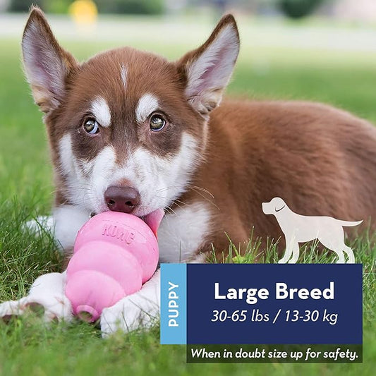 KONG Puppy - Natural Teething Rubber Chew Toy for Dogs - Stuffable Dog Toy for Extended Playtime - Chew & Fetch Toy for Puppies - for Large Puppies - Blue