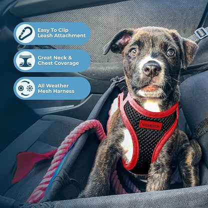 Voyager Step-In Air Dog Harness - All Weather Mesh Step in Vest Harness for Small and Medium Dogs by Best Pet Supplies - Red Trim, Small