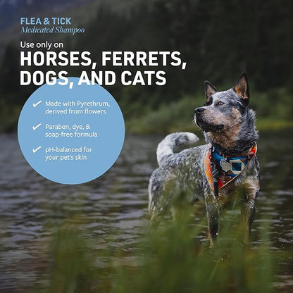 Veterinary Formula Flea and Tick Shampoo for Dogs and Cats & Clinical Care Antiseptic and Antifungal Medicated Shampoo for Dogs & Cats