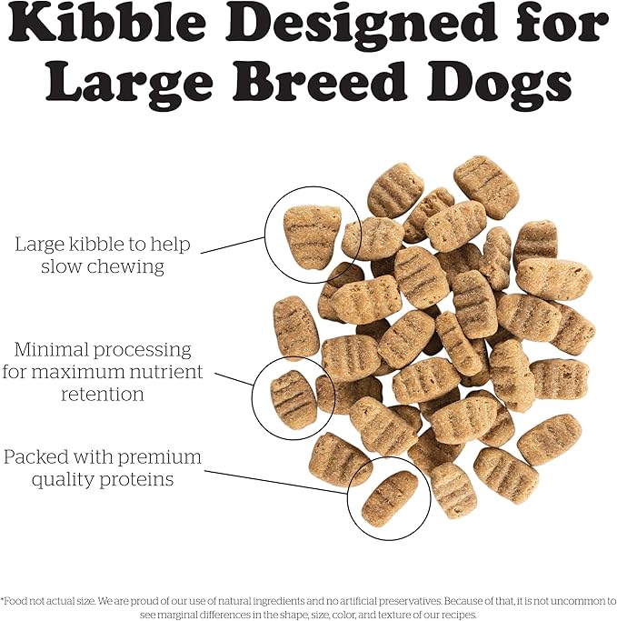 Bundle of Now Fresh Grain Free Dog Food, 12 lb - Large Breed Puppy Food Recipe + Now Fresh Grain Free Dog Food, 25 lb - Large Breed Adult Dog Food Recipe
