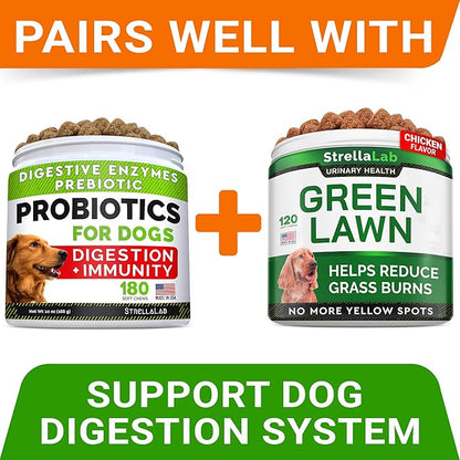 Grass Burn Spot Chews for Dogs - Dog Urine Neutralizer for Lawn - Dog Pee Lawn Spot Saver - Natural Treatment Caused by Dog Urine - Grass Treatment Rocks -DL-Methionine+Enzymes - 120 Chew