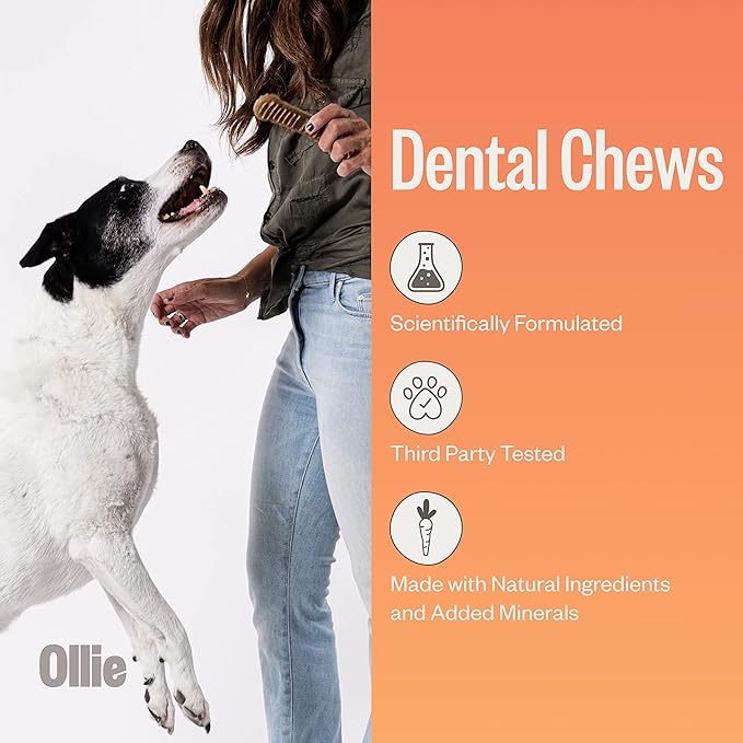 Ollie Dental Chews for Dogs Medium -Dog Breath Treats - Dog Teeth Cleaning Treat - Dental Sticks for Dogs - Fresh Breath for Dogs - Dental Treats for Dogs -Dog Dental Care - 12 Oz.