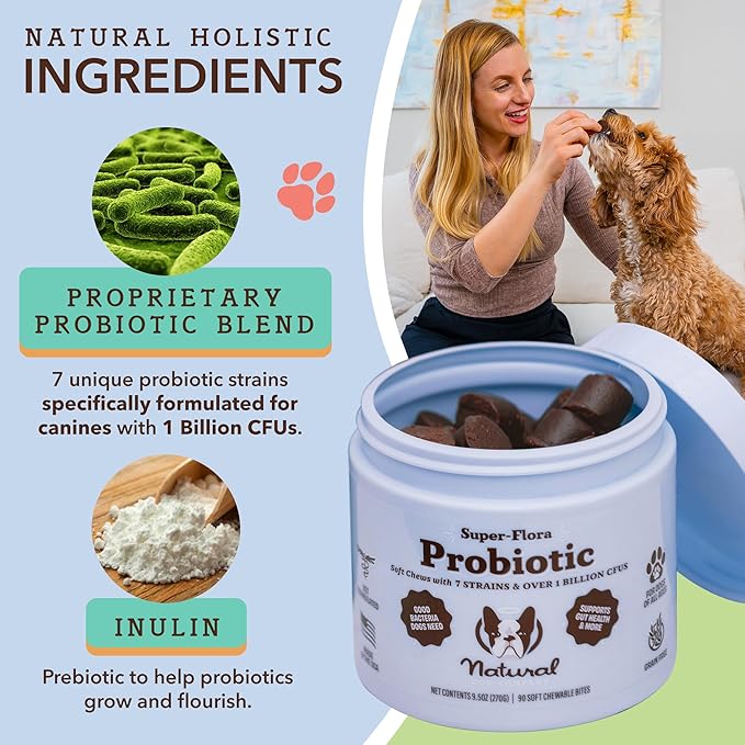 Natural Dog Company Probiotic Chews for Dogs (90 Bites), Chicken Flavor, Helps with Digestion & Gut Health Supports Immune System, Probiotics Supplement for Dogs of All Ages, Sizes & Breeds.