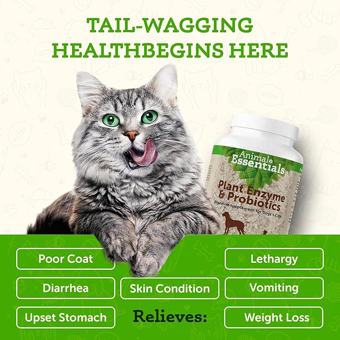 Animal Essentials Plant Enzyme & Probiotics - Digestive Nutrient Absorption Supplement for Dogs & Cats, Plant & Microbial Enzyme Blend - 10.6 Oz