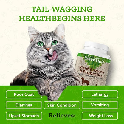 Animal Essentials Plant Enzyme & Probiotics - Digestive Nutrient Absorption Supplement for Dogs & Cats, Plant & Microbial Enzyme Blend - 10.6 Oz
