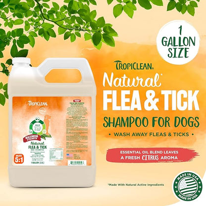TropiClean Maximum Strength Natural Flea and Tick Dog Shampoo | Natural Flea and Tick Prevention for Dogs | Made in the USA | 1 gallon