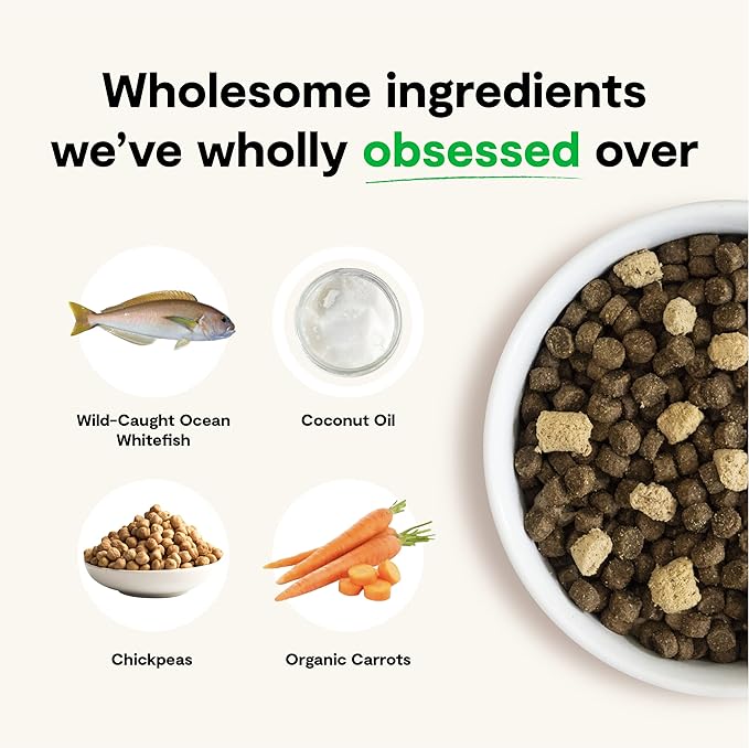 Open Farm RawMix Wild-Ocean Recipe for Cats, includes Kibble, Bone Broth, and Freeze Dried Raw, Inspired by The Wild, Humanely Raised Protein and Non-GMO Fruits and Veggies, 8 lb