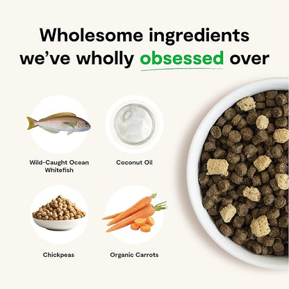 Open Farm RawMix Wild-Ocean Recipe for Cats, includes Kibble, Bone Broth, and Freeze Dried Raw, Inspired by The Wild, Humanely Raised Protein and Non-GMO Fruits and Veggies, 8 lb