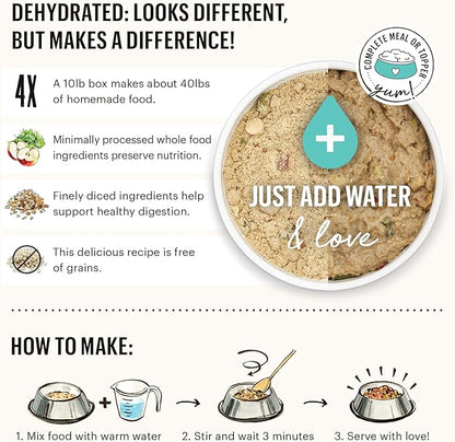The Honest Kitchen Human Grade Dehydrated Grain Free Dog Food – Complete Meal or Dog Food Topper – Fish 10 lb (makes 40 lbs)