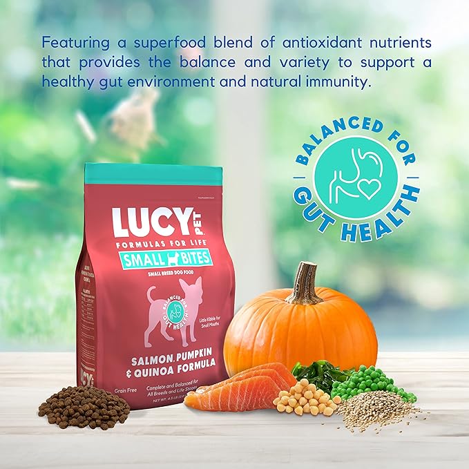 Lucy Pet Products Salmon, Pumpkin & Quinoa Small Bites for Dogs 4.5lb 100600033