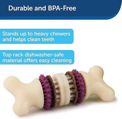 PetSafe Treat Rings - 16 Rings - Size B - Original & Busy Buddy Bristle Bone - Treat-Holding Toy for Dogs - Purple, Large