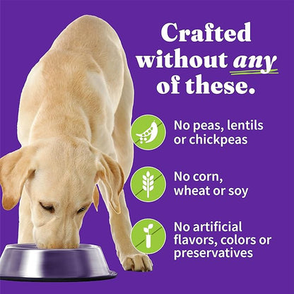 Halo Elevate Wet Dog Food, Kettle Cooked Chunky Healthy Grains Chicken Stew with Carrots, Green Beans & Brown Rice, 12.7oz (Pack of 6)