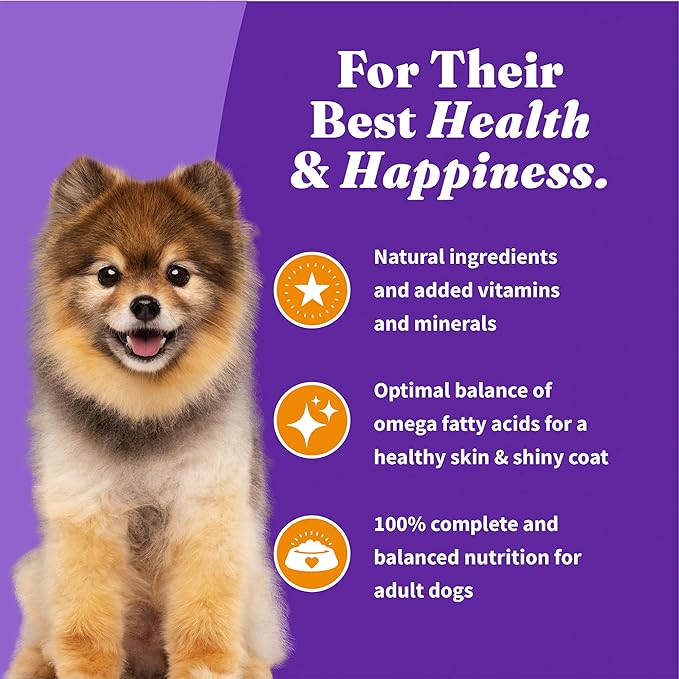 Halo Holistic Dog Food, Complete Digestive Health Cage-Free Chicken and Brown Rice Recipe, Dry Dog Food Bag, Small Breed Formula, 10-lb Bag