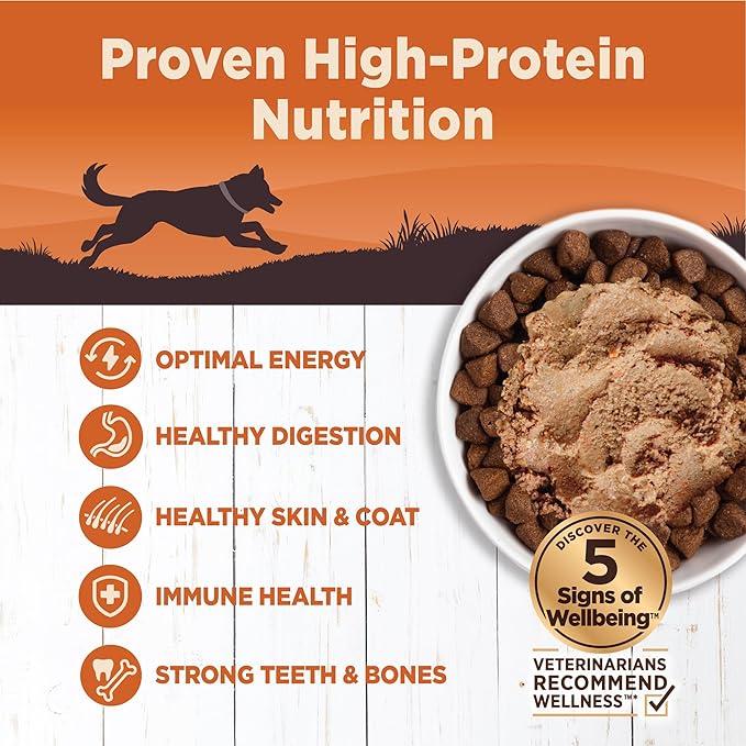 Wellness CORE 95% Natural Wet Grain Free Canned Dog Food, Turkey & Spinach,12.5-Ounce Can (Pack of 12)