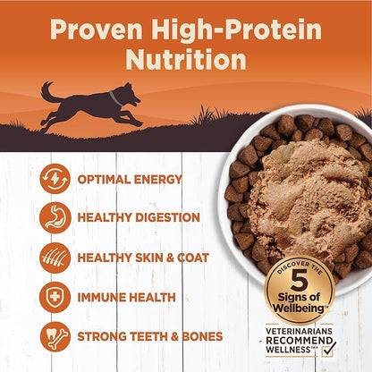 Wellness CORE 95% Natural Wet Grain Free Canned Dog Food, Turkey & Spinach,12.5-Ounce Can (Pack of 12)