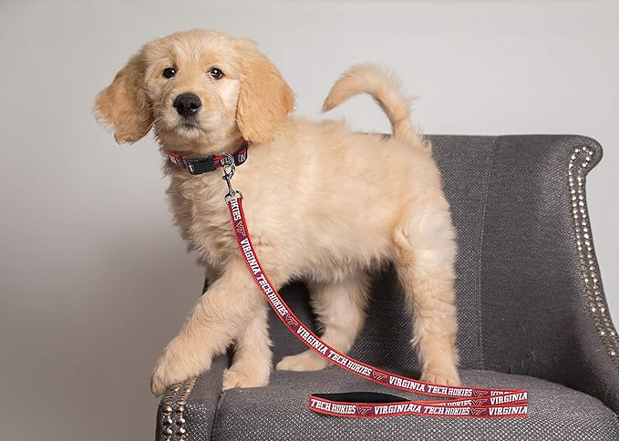 Pets First Collegiate Pet Accessories, Dog Leash, Virginia Tech Hokies, Large