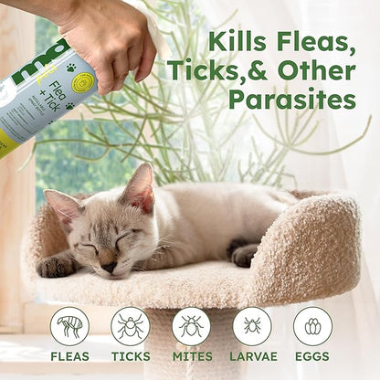 BugMD Flea and Tick Concentrate (3.7 oz)- Essential Oil-Powered Formula, Controls Fleas, Ticks, Mites in Dogs, Cats, and Other Furred Animals, Spray on Pet Beds, Kennels