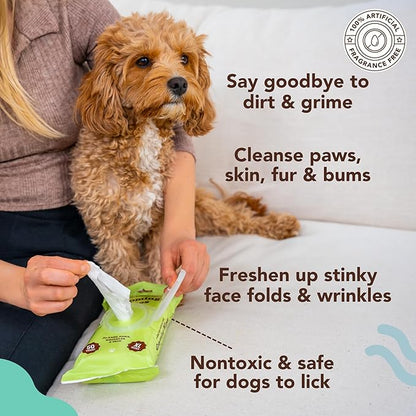 Natural Dog Company Grooming Wipes with Aloe Vera, Cleanses, Soothes, & Deodorizes, Fragrance Free, Hypoallergenic, Biodegradable Wipes - Dog Wipes for Ear, Paws, Face and Butt Wipes (200 Wipes)