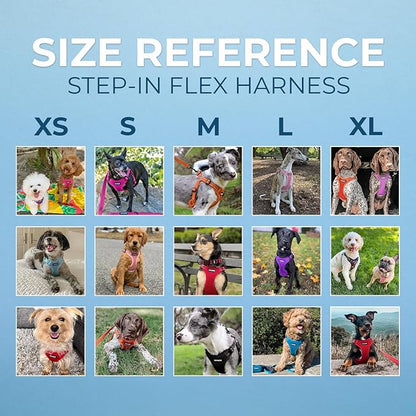 Best Pet Supplies Voyager Adjustable Dog Harness Leash Set with Reflective Stripes for Walking Heavy-Duty Full Body No Pull Vest with Leash D-Ring, Breathable All-Weather - Harness (Purple), M