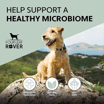 Yeast Guard - Dog Gut Health Probiotics Support Powder - Organic Herbs for Flora and Immune Support - 7 to 60 Day Supply, Depending on Dog’s Weight - Vet Formulated - for All Breeds
